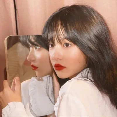 在首领猎人的土地上